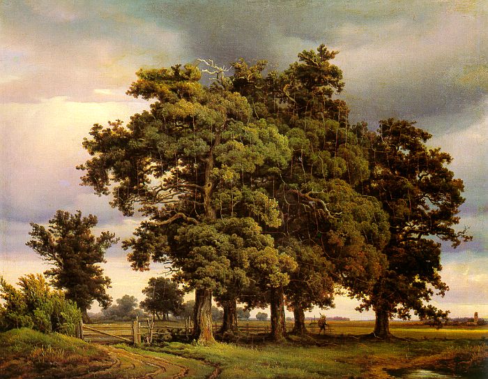 Oak Trees